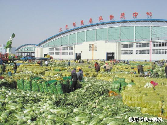 辽中镇最新项目，地区发展的强大引擎领航者